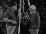 Gilligan's Island Season 1 Tv Show Eastern North Carolina No